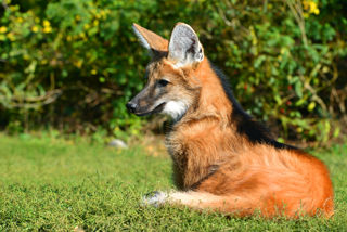 Adobestock 226184921