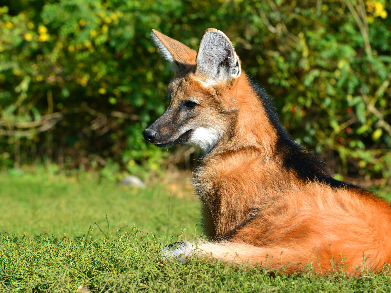 Adobestock 226184921