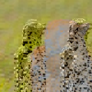 Ahmed Galal 8Lqzsbztzys Unsplash