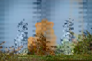 Dsc07946