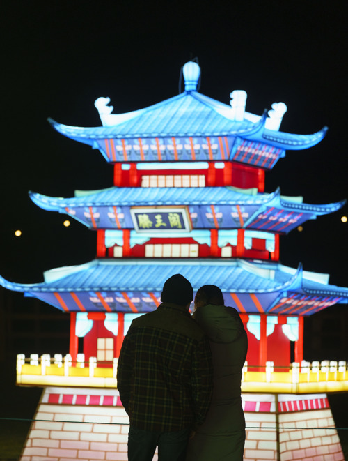 YWP Winter Lights 013