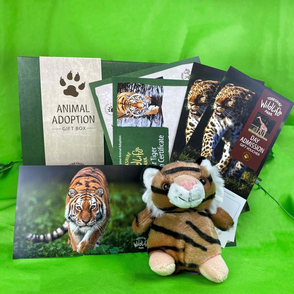 Animal Adoption pack with cuddly toy