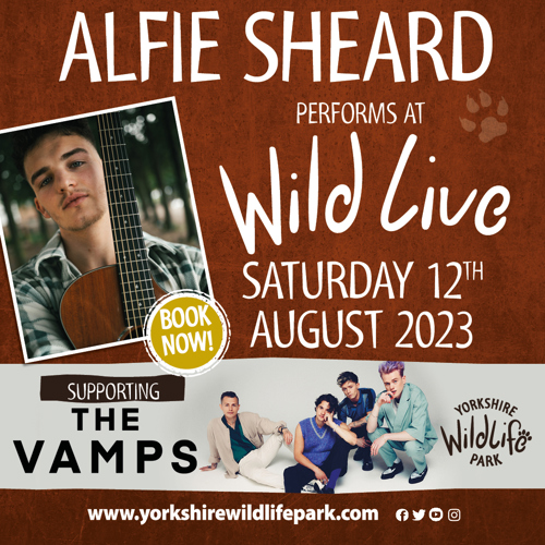 Ywp 2119 Vamps And Alfie Assets