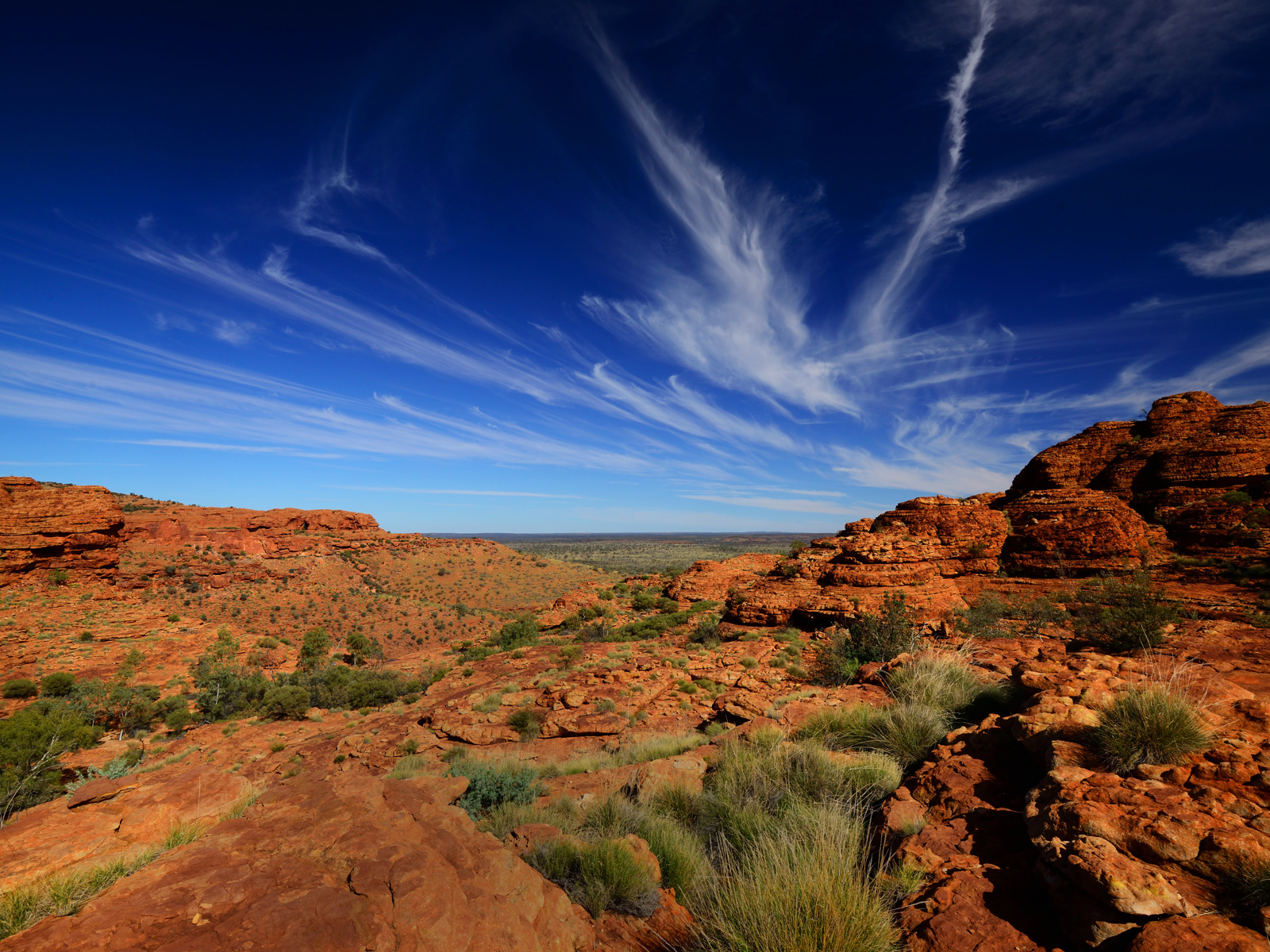 Adobestock 516415173