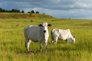 Adobestock 473131963