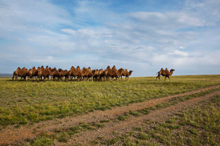 Adobestock 233639325