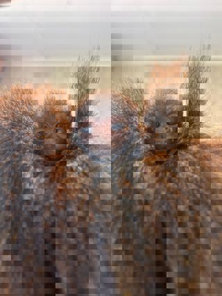 Whatsapp Image 2025 06 24 At 09.38.26