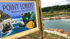Point Lobos Sign