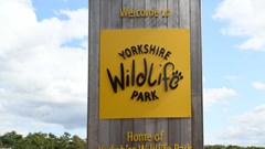 Coach trips to Yorkshire Wildlife Park