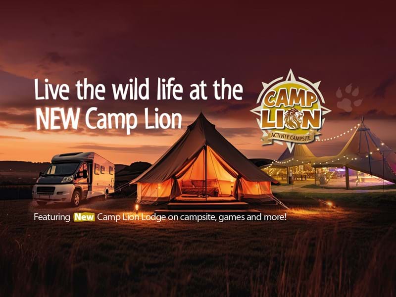 YWP 2358 Web Carousel 3000 X 1050 Camp Lion New