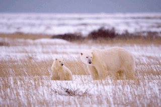 Untitled Design 2021 02 19T152031.809