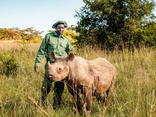 @Willbaldlygo Bella 1 Large