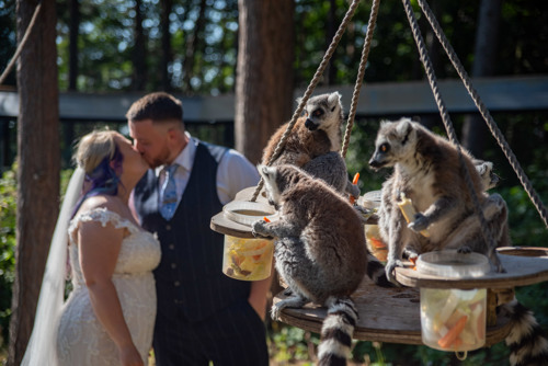 Stephanie Chambers @ Smiler Photos 2