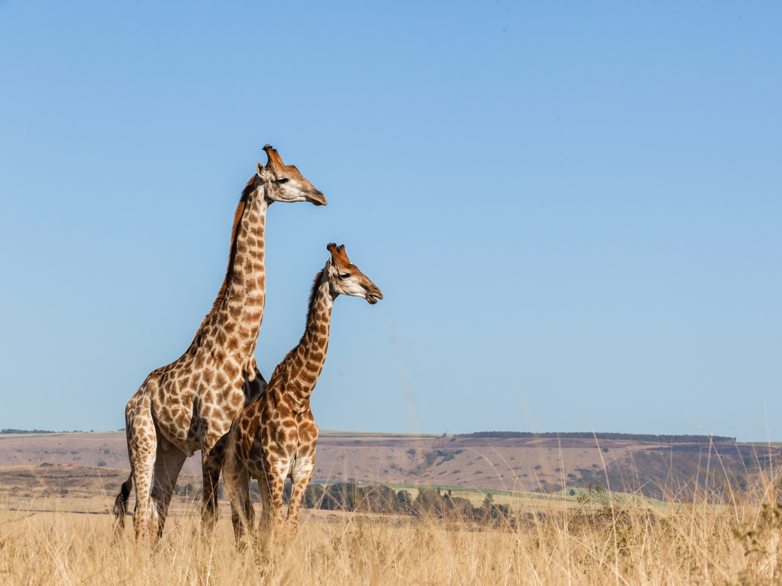Adobestock 65955119