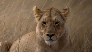 Adobestock 488157860