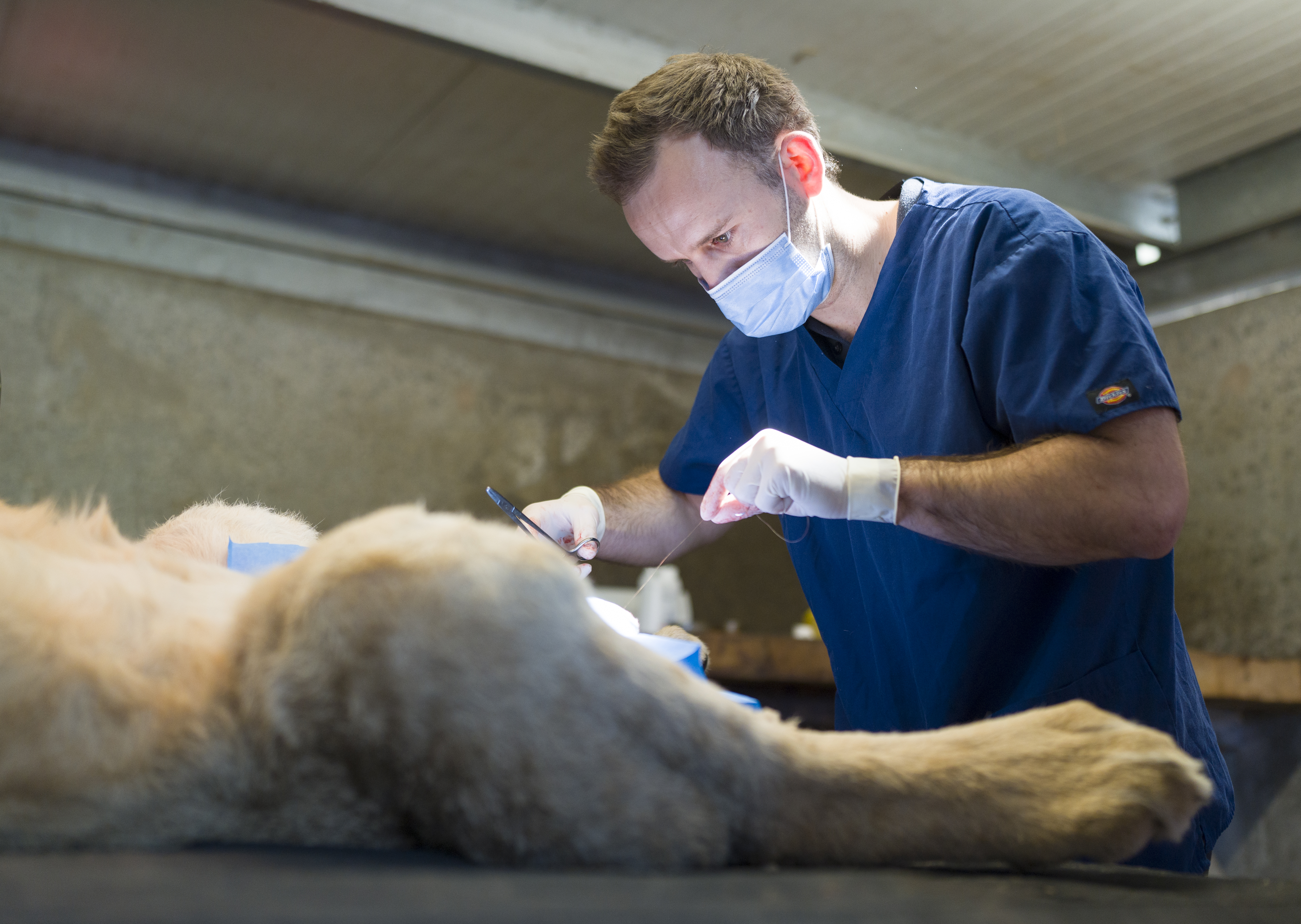 YWP Lion Health Check 020