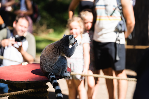 Ben Harrison Photography Www Benharrisonphotography Co Uk 52