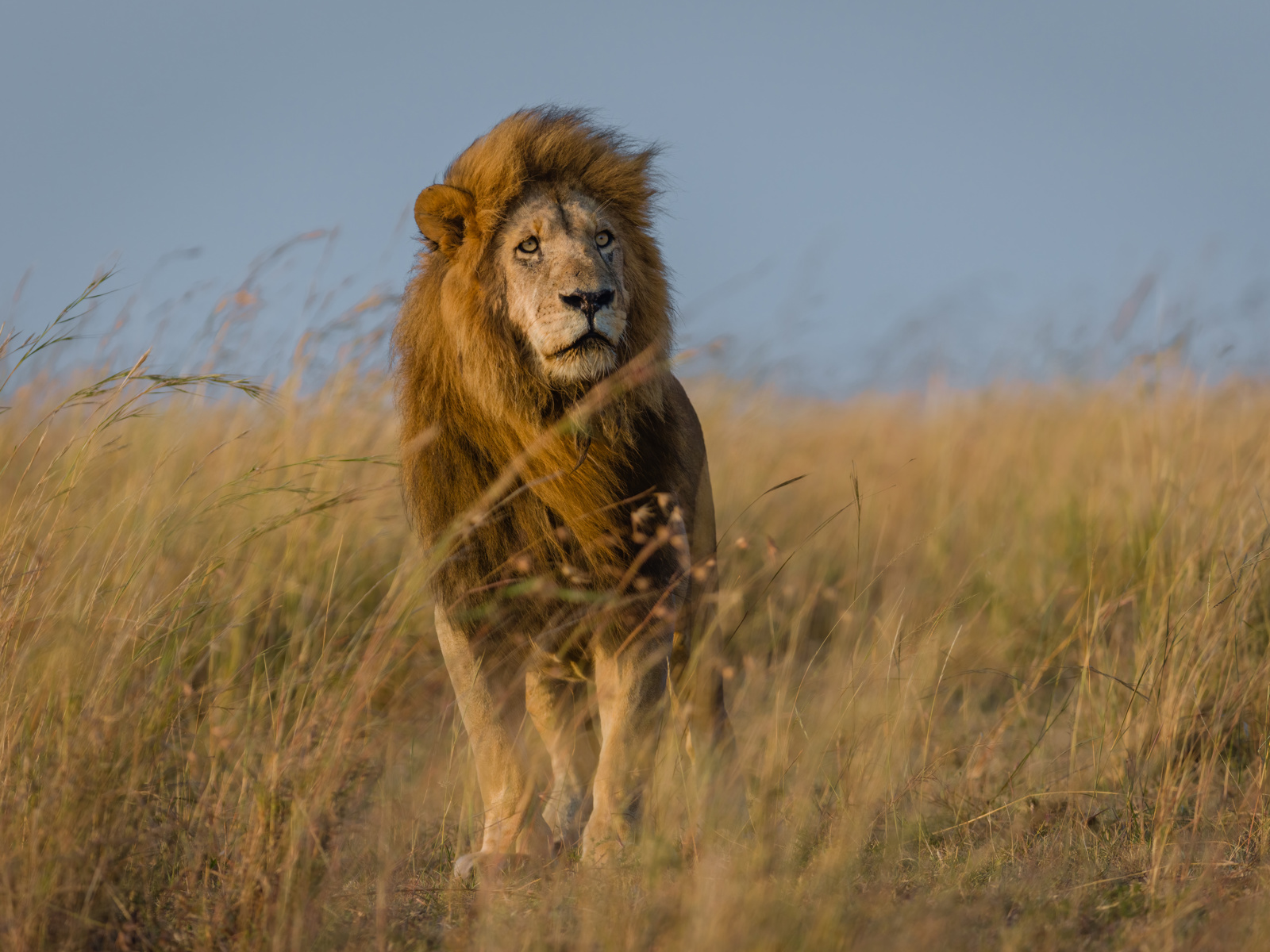 Adobestock 461969106