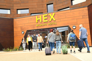 Dsc 3728 Hex Wildlife