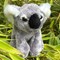 Small Koala 2