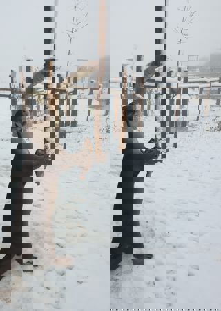 20210115 130844