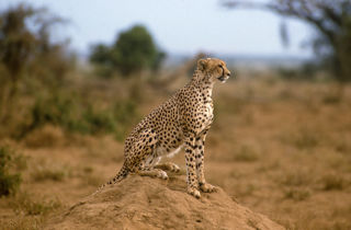 Adobestock 528267009