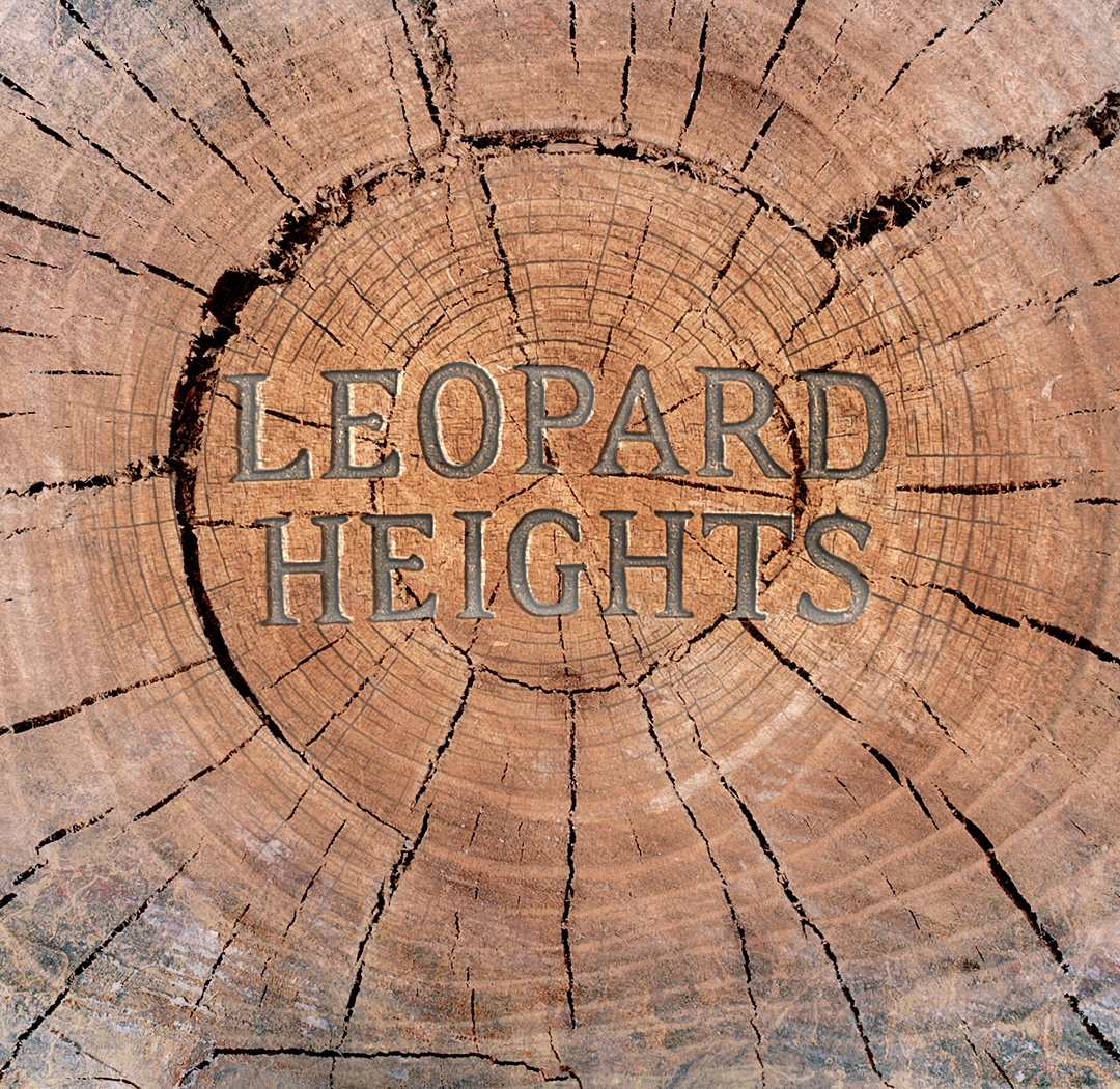 Leopard Heights Carousel Copy