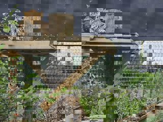 Photo 2023 09 01 12 49 03