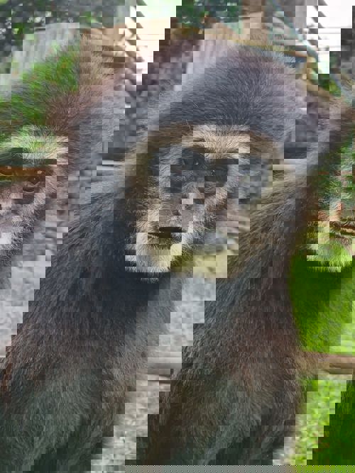 PHOTO 2026 01 03 21 22 11 2