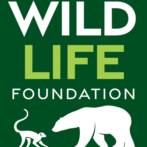 Ywp 1810 Colour Wildlife Foundation Logo 1 Large Square (1)