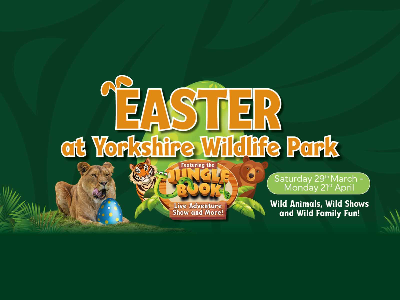YWP 2653 Web Carousel 3000 X 1050 Easter
