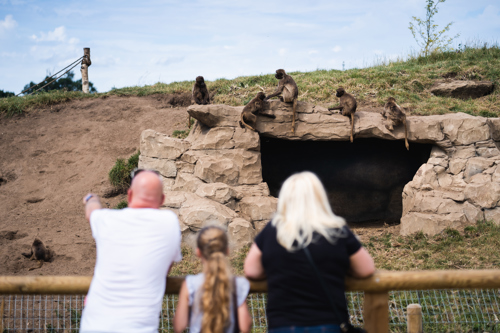 Ben Harrison Photography Www Benharrisonphotography Co Uk 180