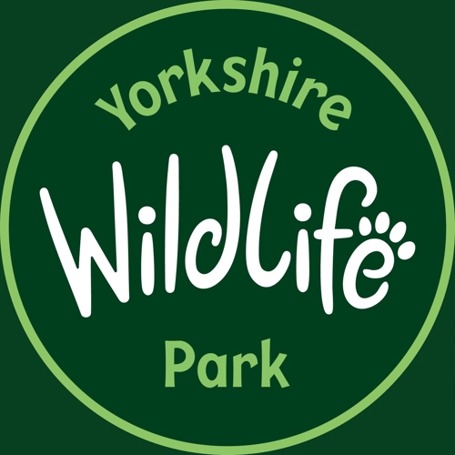 481012148 1057735613067153 7788522707379153013 N