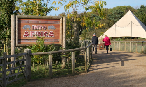 A Walk Into Africa