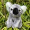 Small Koala 1