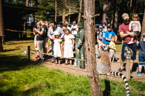 Ben Harrison Photography Www Benharrisonphotography Co Uk 38