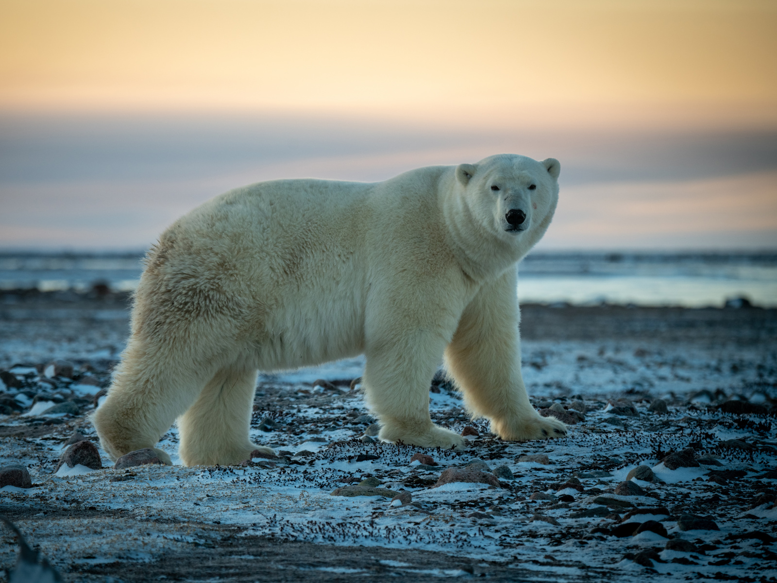 Adobestock 480582385