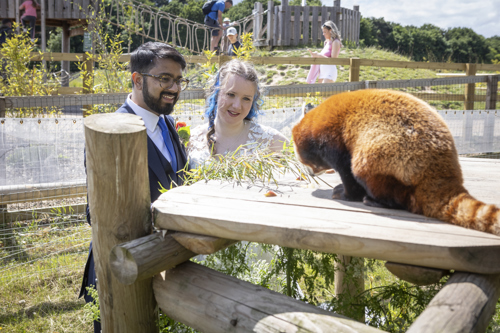 Tilly And Schochin Wedding (306 Of 724)