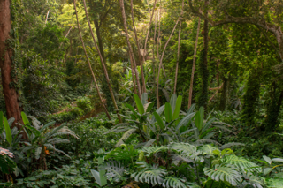 Untitled Design 2021 02 19T154827.228 768X512