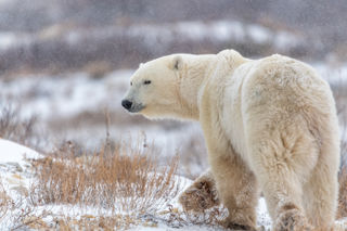 Adobestock 393713241