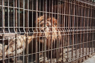 Screenshot 2023 10 12 At 14 30 04