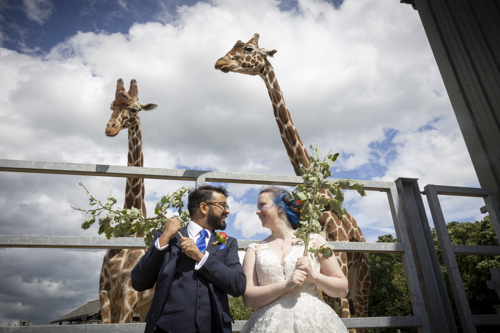 Tilly And Schochin Wedding (334 Of 724)