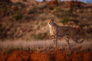 Adobestock 275676560