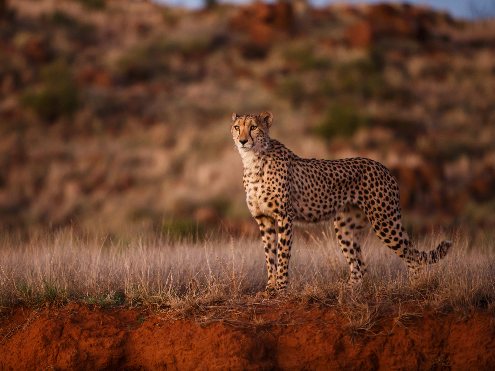 Adobestock 275676560