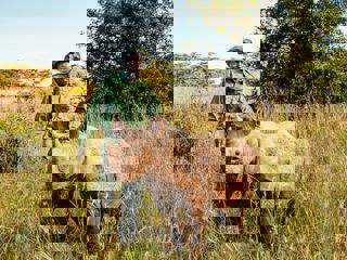 Willbaldlygo Bella 1 Large