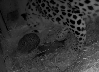 Screenshot 2023 06 22 At 12 17 56