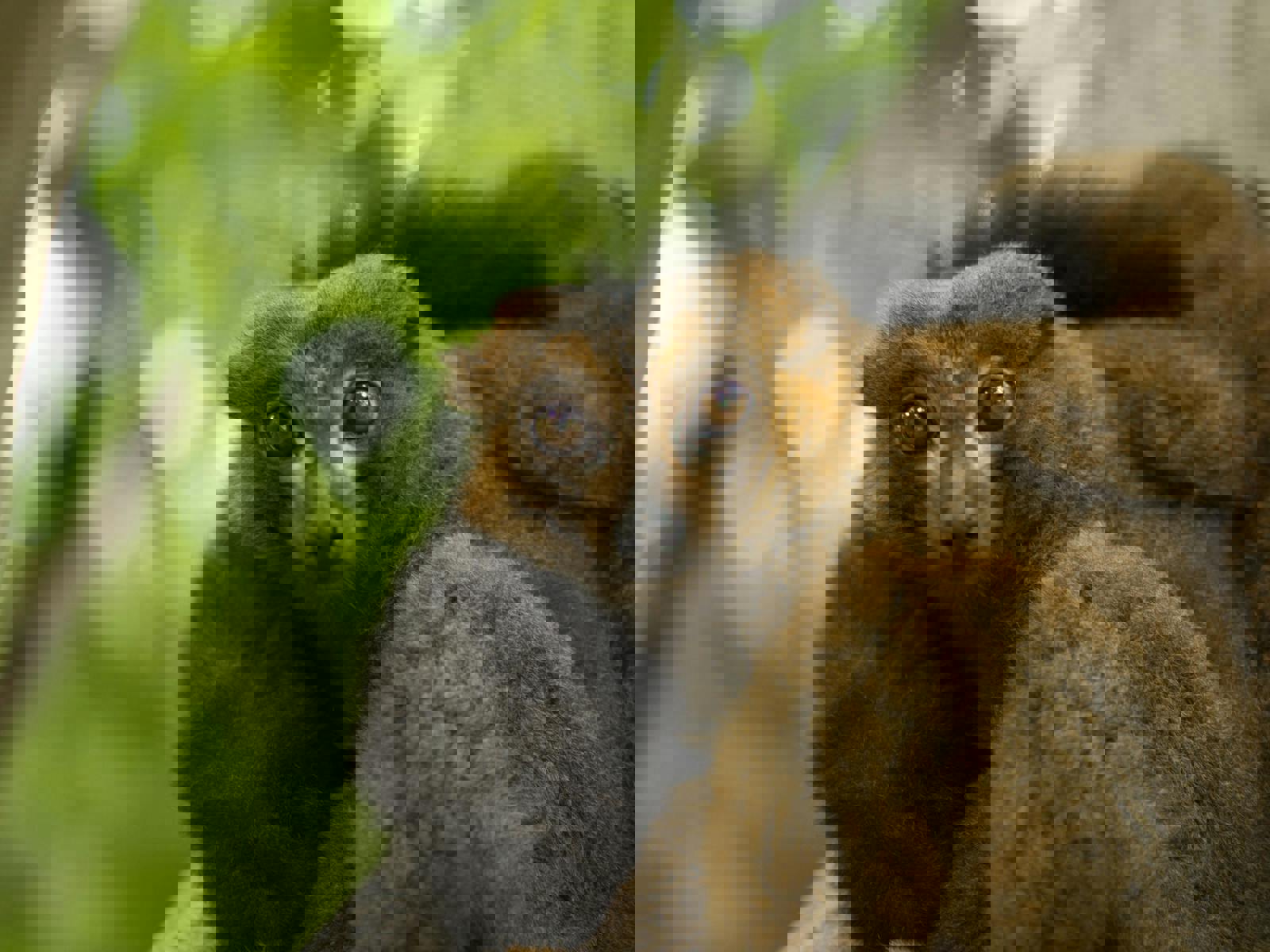 Pexels Bandierastudio 5097064