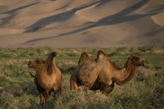 Untitled Design 2021 02 26T141521.300