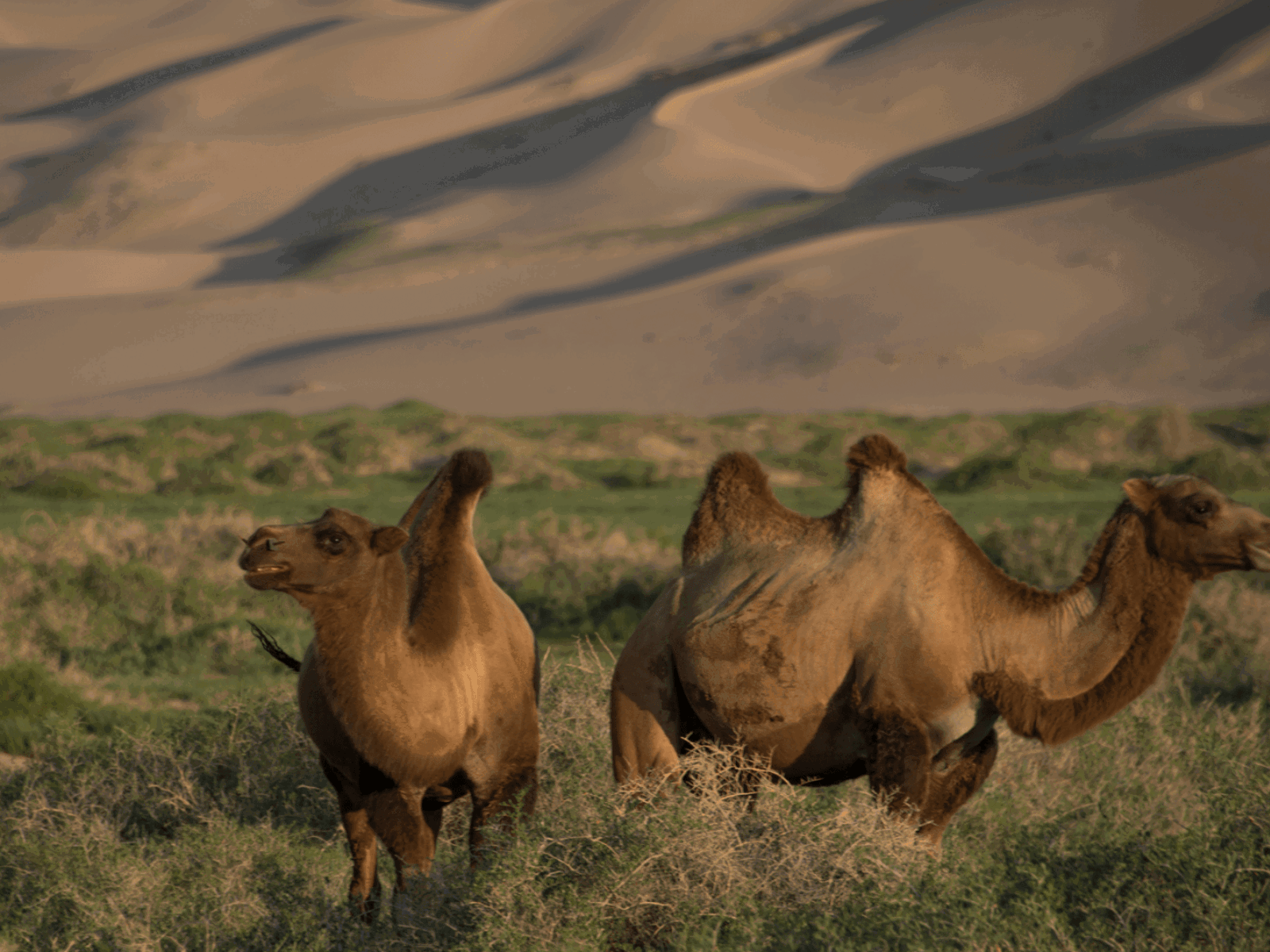 Untitled Design 2021 02 26T141521.300