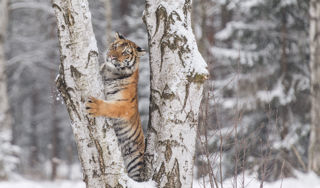 Adobestock 192758828